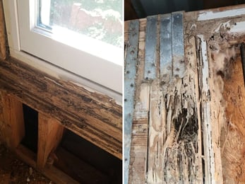 Images of termite damage before termite damage restoration services by Urban Infill